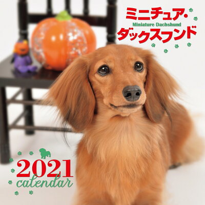 楽天市場 誠文堂新光社 大判カレンダーミニチュア ダックスフンド 2021年 誠文堂新光社 井川俊彦 価格比較 商品価格ナビ 楽天市場 誠文堂新光社 大判カレンダーミニチュア ダックスフンド 2021年 誠文堂新光社 井川俊彦 価格比較 商品価格ナビ